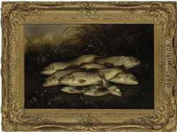Trout And Grayling Caught At Salisbury Oil Painting - Henry Leonidas Rolfe