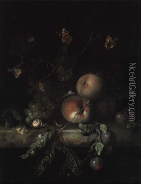 Peaches, Plums And Grapes On A Marble Ledge With Butterflies And Insects Oil Painting - Rachel Ruysch