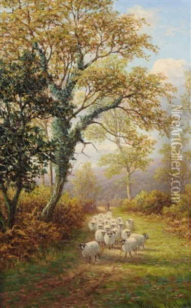 A Lane Near Ripley, Yorkshire Oil Painting - William Mellor