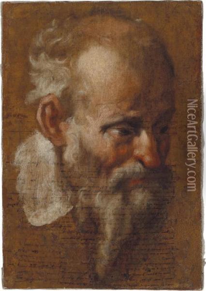 Headstudy Of A Bearded Old Man Oil Painting - Annibale Carracci