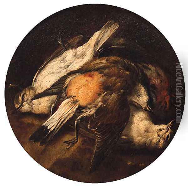 Dead Birds Oil Painting - Baldassare De Caro