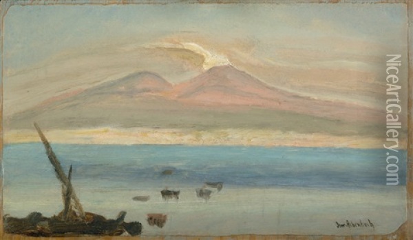 Blick Uber Den Golf Von Neapel Auf Den Vesuv Oil Painting - Oswald Achenbach