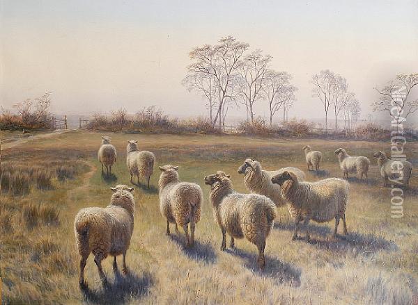 Sheep On A Farm Oil Painting - Charles Jones