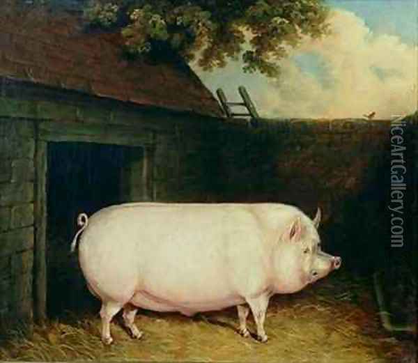 A Pig in its Sty Oil Painting - E.M. Fox