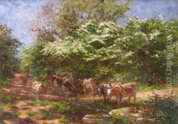 Cattle By A Stream Oil Painting - William Banks Fortescue