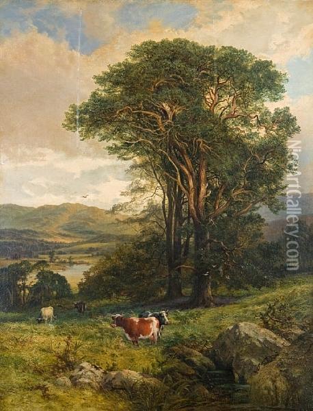 Cows In Rough Pasture Oil Painting - Charles Edward Johnson