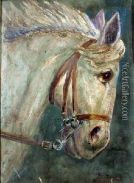 Cavallo Aurelio Oil Painting - Marino Lenci