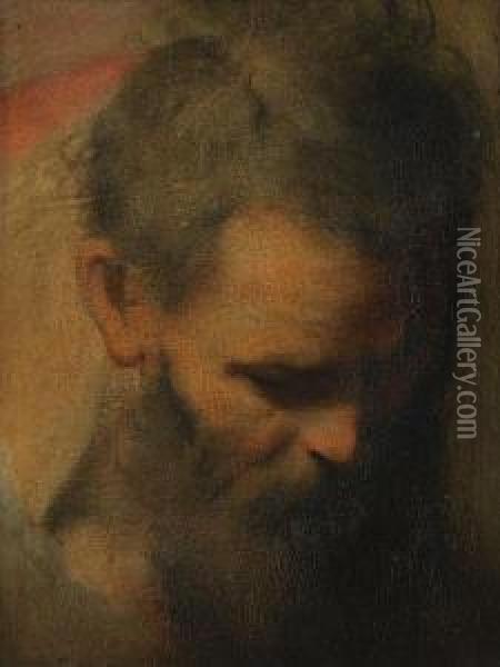 The Head Of A Bearded Man, A Sketch For Oil Painting - Federico Fiori Barocci