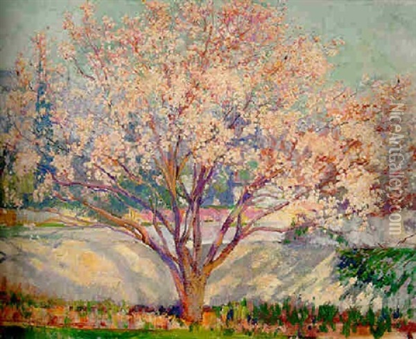 Almond Tree In Bloom Oil Painting - Alson Skinner Clark