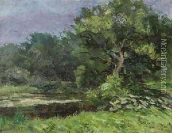 Landscape With Pond Oil Painting - Leon Houyoux