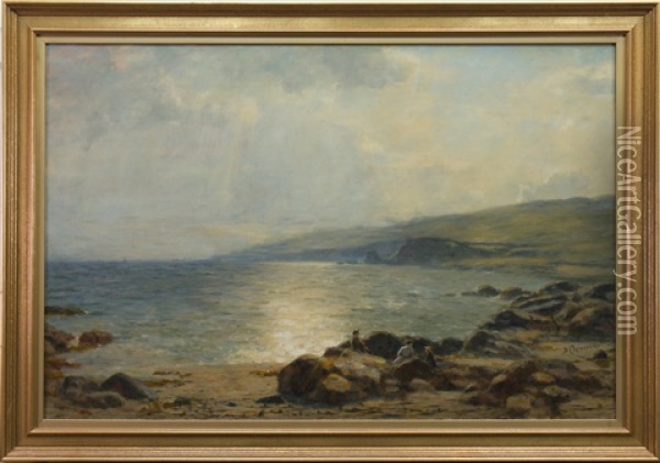 Sunlit Coast Oil Painting - Duncan Cameron