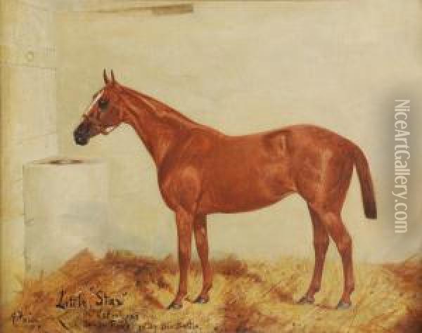 Little 'star' Oil Painting - George Paice