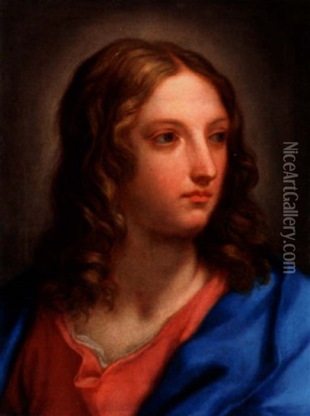 The Head Of A Young Man Oil Painting - Giuseppe Bartolomeo Chiari