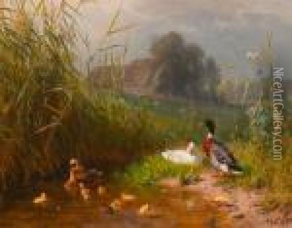 Family Of Ducks At A Stream. Oil Painting - Carl Jutz
