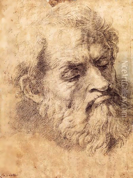 Study of the Head of an Apostle Oil Painting - Raphael