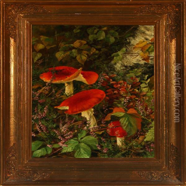 Forest Scenery With Mushrooms Oil Painting - Emma Loffler