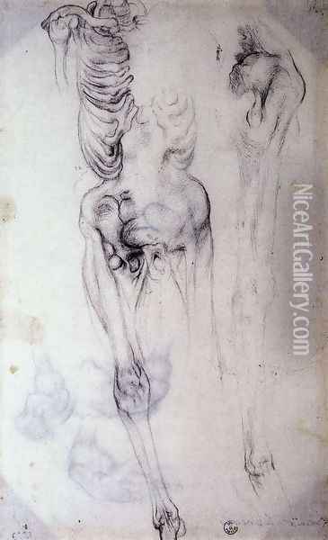 Anatomical Oil Painting - (Jacopo Carucci) Pontormo