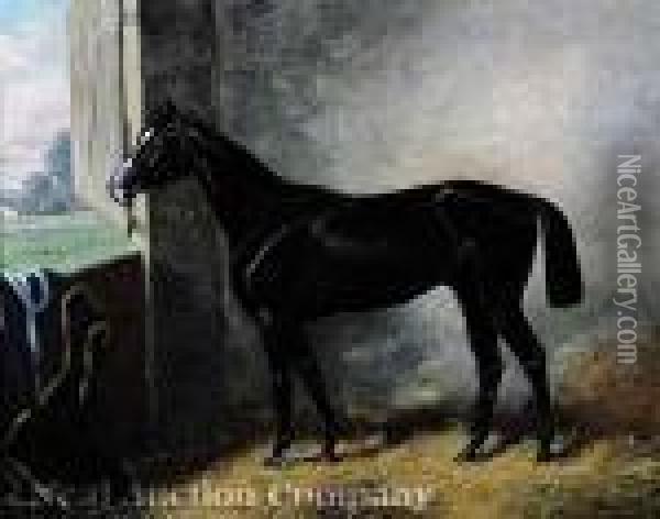 A Thoroughbred Horse Inits Stall Oil Painting - Henry Stull