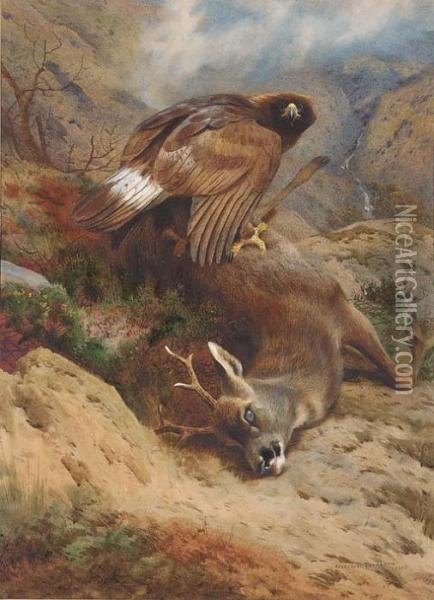 The Lost Roe Oil Painting - Archibald Thorburn