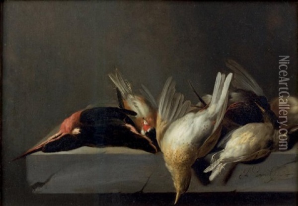 Nature Morte Aux Oiseaux Oil Painting - Jan Vonck