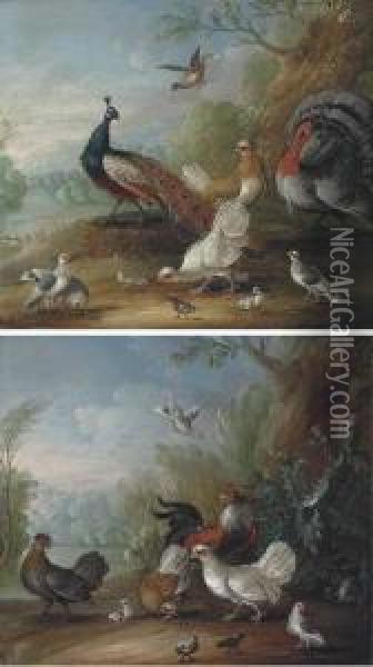 A Peacock, Doves, Chickens And A
 Turkey In A Landscape; Andchickens, Doves And Cockerels In A Landscape Oil Painting - Marmaduke Cradock