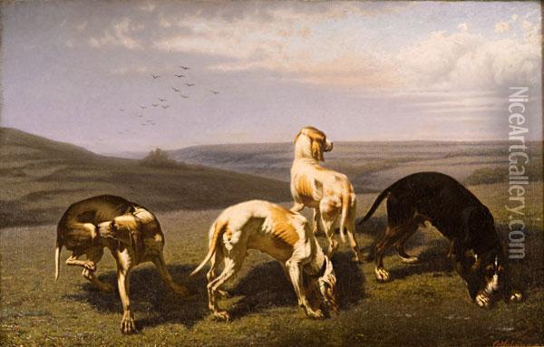 Cani Da Caccia In Paesaggio Oil Painting - Christophe Cathelinaux