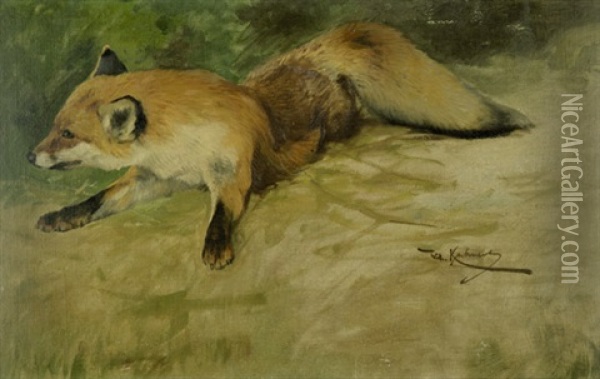 Liegender Fuchs Oil Painting - Wilhelm Friedrich Kuhnert