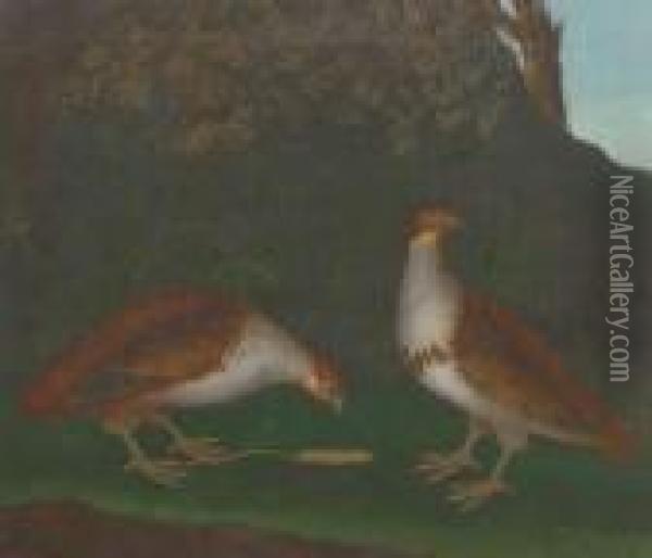 Partridge Oil Painting - Stephen Elmer