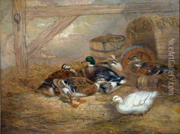 Ducks In A Barn Oil Painting - John Frederick Herring Snr