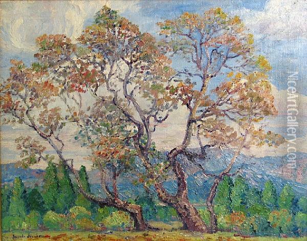 Sycamore Trees Oil Painting - Amanda Jacobson