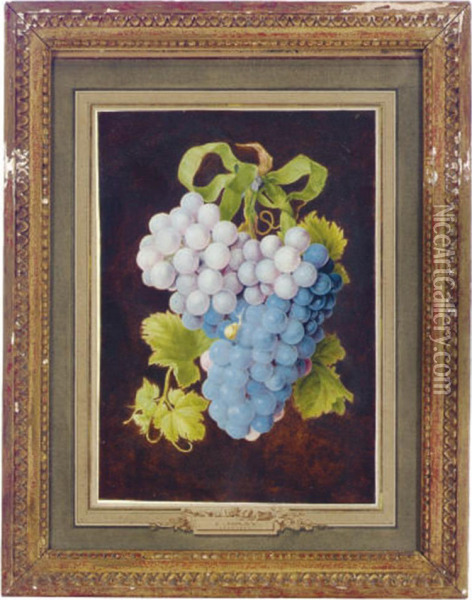 A Bird Eating Grapes; And A Companion Work Oil Painting - J. Kraij