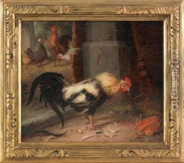 A Rooster Oil Painting - Gustav Sus