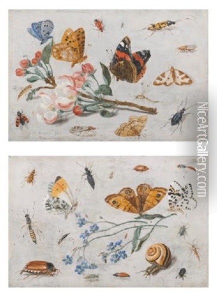 Study Of Insects, Butterflies And A Snail With A Sprig Of Forget-me-nots; Study Of Butterflies And Other Insects With A Sprig Of Apple Blossom (pair) Oil Painting - Jan van Kessel the Elder