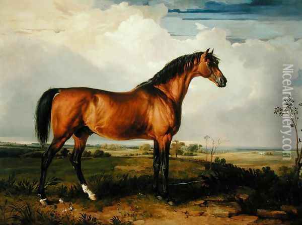Eagle, a Celebrated Stallion Oil Painting - James Ward