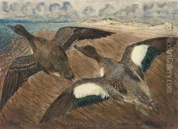 Wild Geese In Flight Oil Painting - Carl Johan Forsberg