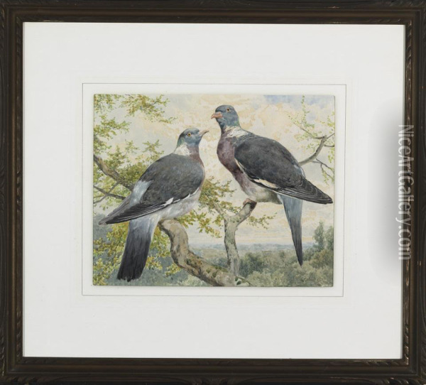 Wood Pigeons Oil Painting - Charles Ii Collins
