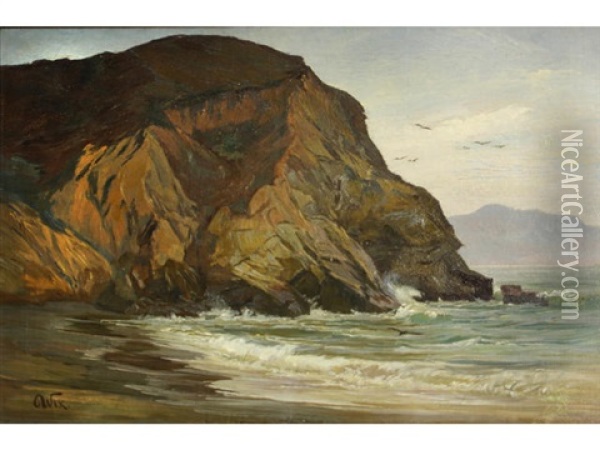 Rocky Coast With Birds Oil Painting - Henry Otto Wix