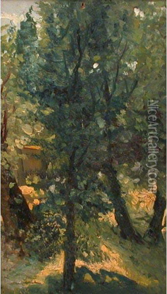 Scorcio Con Alberi Oil Painting - Eugenio Gignous