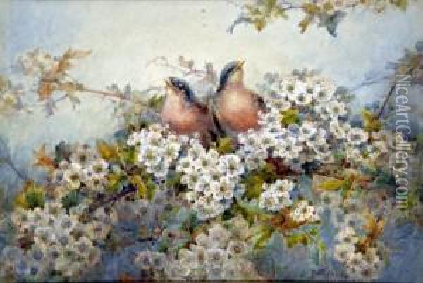 Fledglings Amongst Apple Blossom Oil Painting - John Porter Wale