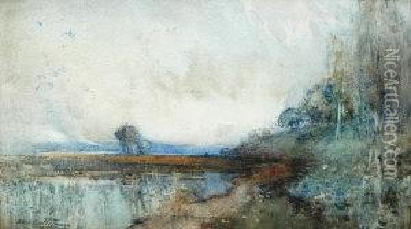 Lakeland Scene With Silver Birch Oil Painting - Alexander Coutts Fraser