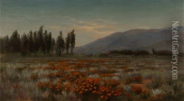 Field Of Poppies Oil Painting - Fannie Eliza Duvall
