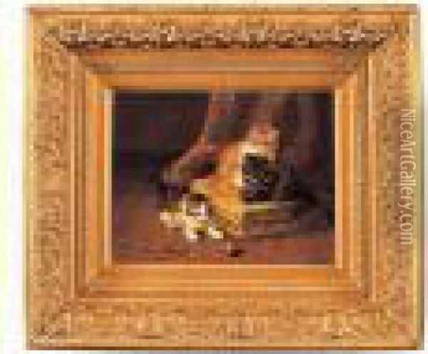 chatons Jouant Oil Painting - Alphonse de Neuville