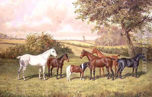 A Group of Ponies Oil Painting - Frederick Albert Clark