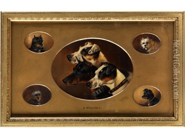 Funf Miniaturen Mit Hundekopfen Oil Painting - Alfred Wheeler