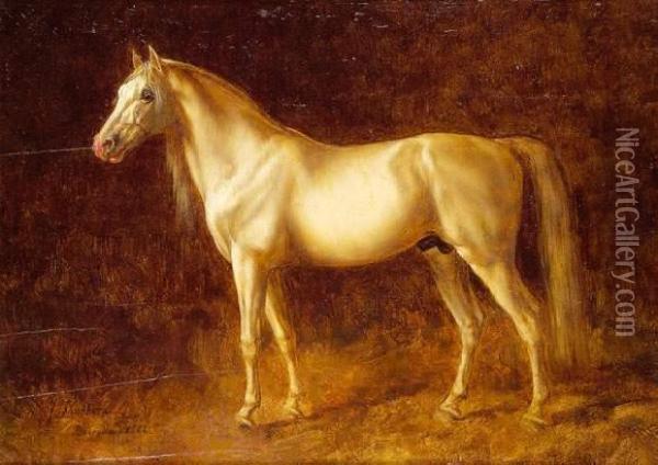Cheval Arabe, 1882. Oil Painting - John-Lewis Shonborn