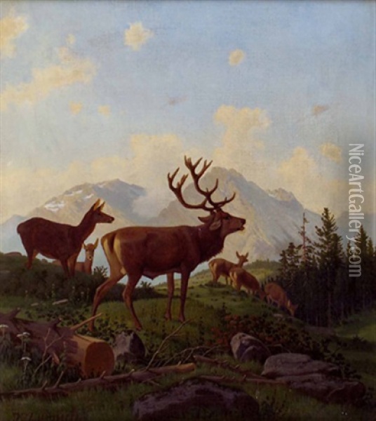 Hirsch Und Rotwild Auf Lichtung Vor Alpen Oil Painting - Josef Zuernich