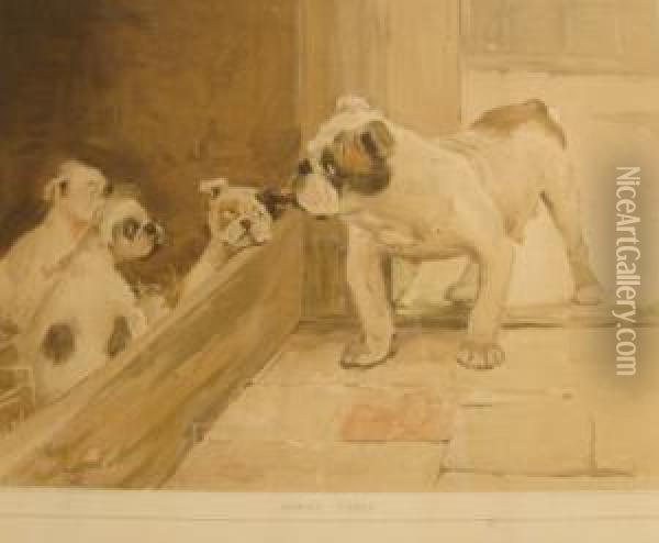 'family Cares', Depicting A Bulldog And Puppies Oil Painting - Cecil Charles Aldin