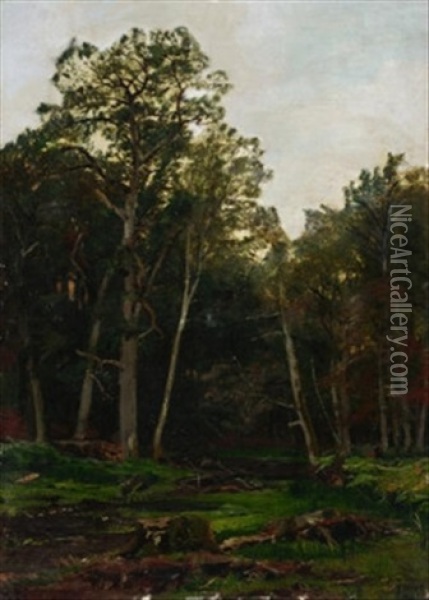 Lichtung Im Sommerlichen Walde Oil Painting - Carl Irmer
