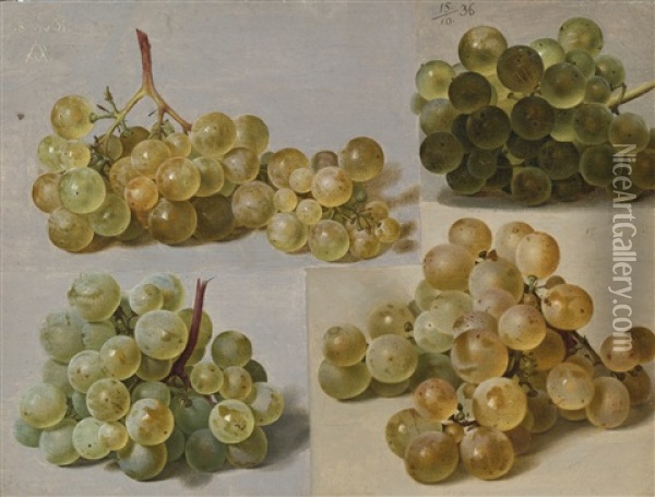 Still Life Of Grapes Oil Painting - Johann Wilhelm Preyer