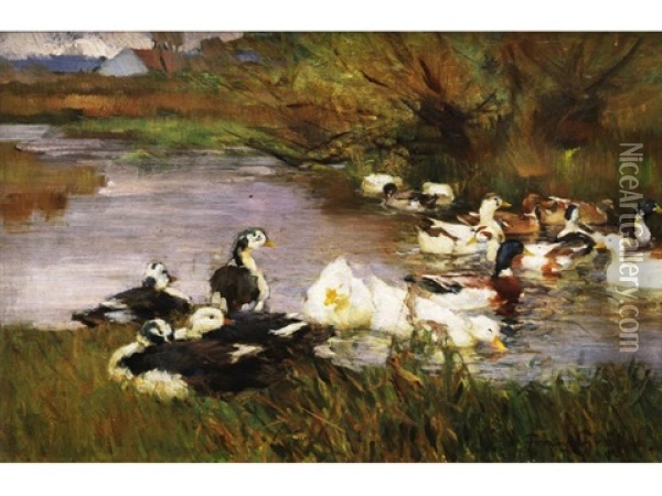Wildenten Und Bauernenten In Einem Flusslauf Im Dachauer Moos Oil Painting - Franz Graessel